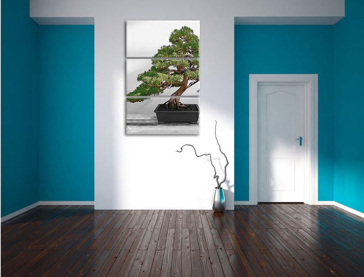 Pixxprint Bonsai Baum auf Holztisch als Leinwandbild | Grösse: 3 Teilig (120x80) | Wandbild| Kunstdr