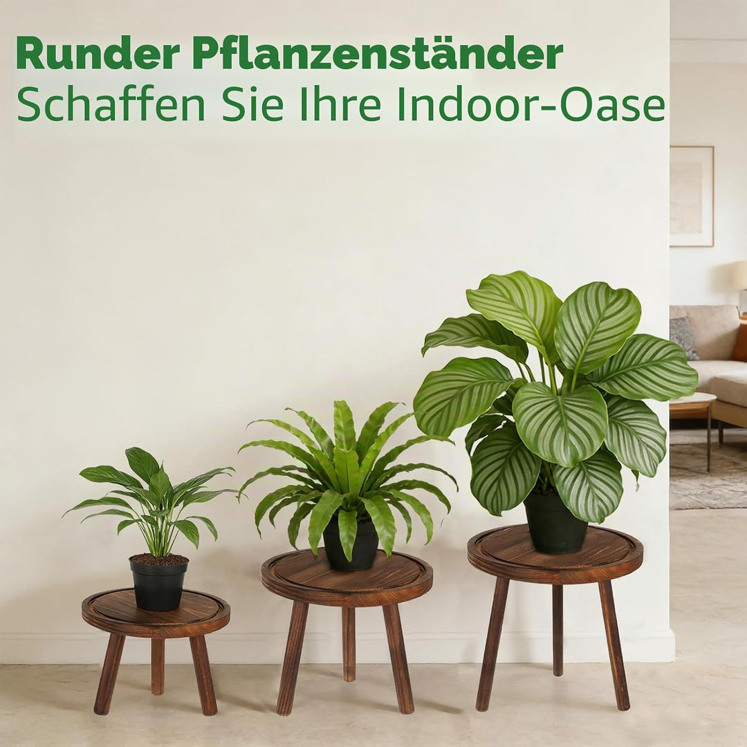 Rainmae Blumenständer 3er Set Ø28/23/20cm Pflanzenständer Pflanzenregal Holz Rund, Stabil & Dekorati