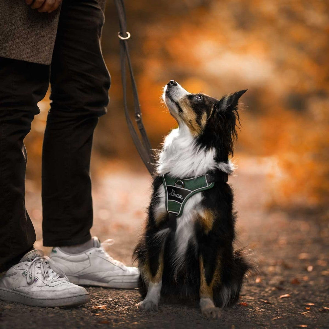 HUNTER DIVO Hundegeschirr, M, 56-73 cm, gün/grau 56 - 73 cm grün/grau, 56 - 73 cm grün/grau