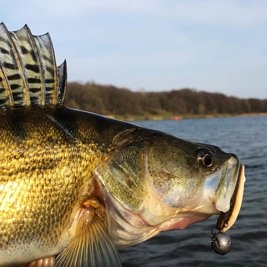 Zanderfang – Jigköpfe Angelhaken-Set Jighaken – Jigkopf Grösse 2/0 und 4/0 für Gummiköder von 8cm bi