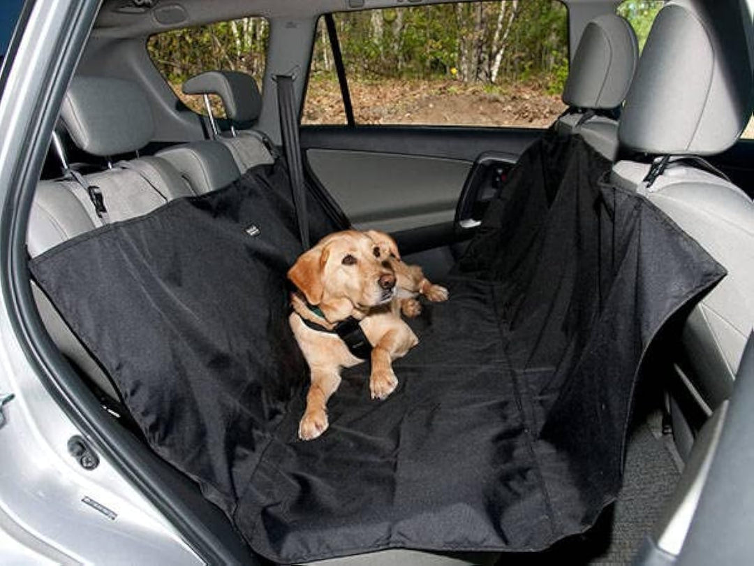PARENCE. - Autositzbezug für Hunde – Schutzmatte für Haustiere, wasserdicht, wasserdicht – Anti-Schm