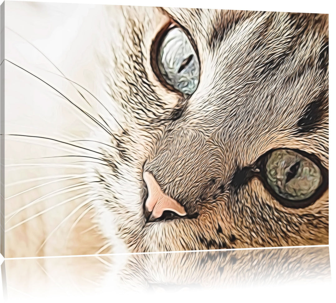 schöne Katzenaugen Format: 100x70 auf Leinwand, XXL riesige Bilder fertig gerahmt mit Keilrahmen, Ku