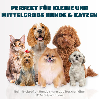 Hundefön, 2-in-1 Haartrockner / Bürste | Perfekt als Fön und Bürste für Hund, Katze oder andere Haus