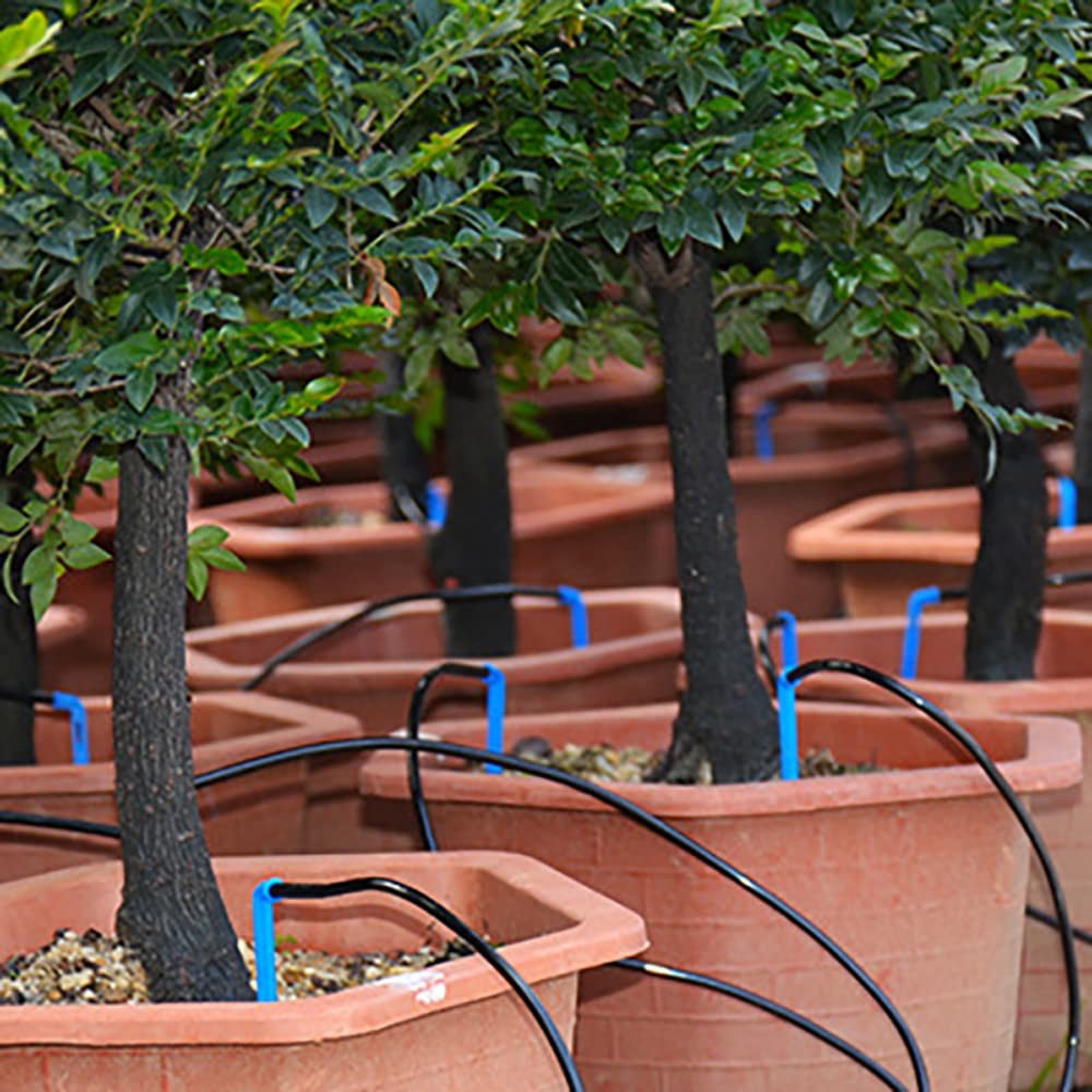 Automatisches Bewässerungssystem, zeitgesteuertes Bewässerungsgerät, Gartenterrassen-Tropfbewässerun