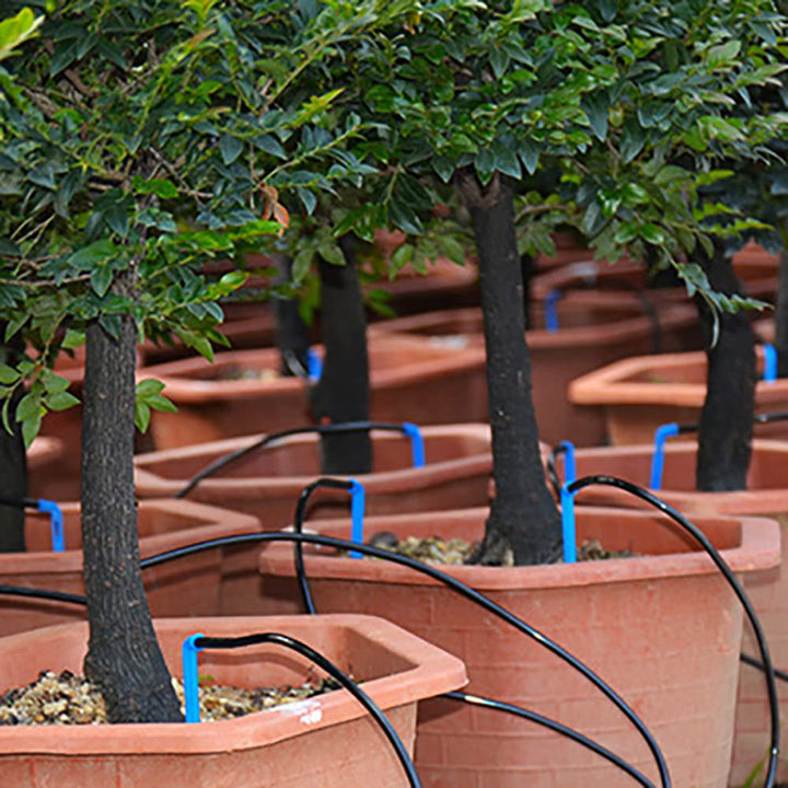 Automatisches Bewässerungssystem, zeitgesteuertes Bewässerungsgerät, Gartenterrassen-Tropfbewässerun