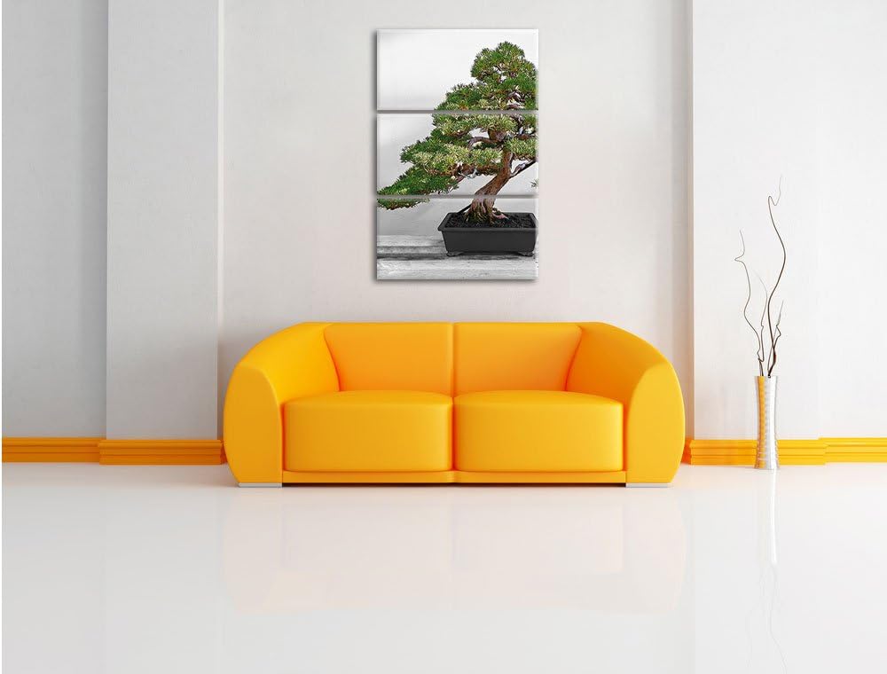 Pixxprint Bonsai Baum auf Holztisch als Leinwandbild | Grösse: 3 Teilig (120x80) | Wandbild| Kunstdr