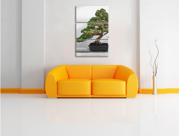 Pixxprint Bonsai Baum auf Holztisch als Leinwandbild | Grösse: 3 Teilig (120x80) | Wandbild| Kunstdr