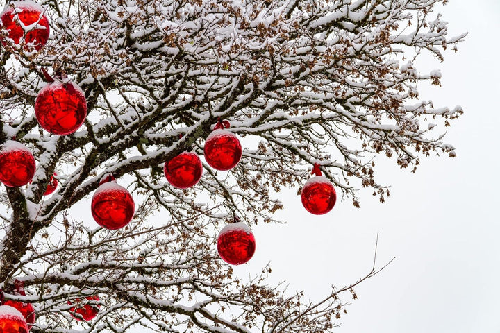 Annastore Weihnachtskugeln gross für den Aussenbereich, Christbaumkugeln zur Dekoration, Christbaums