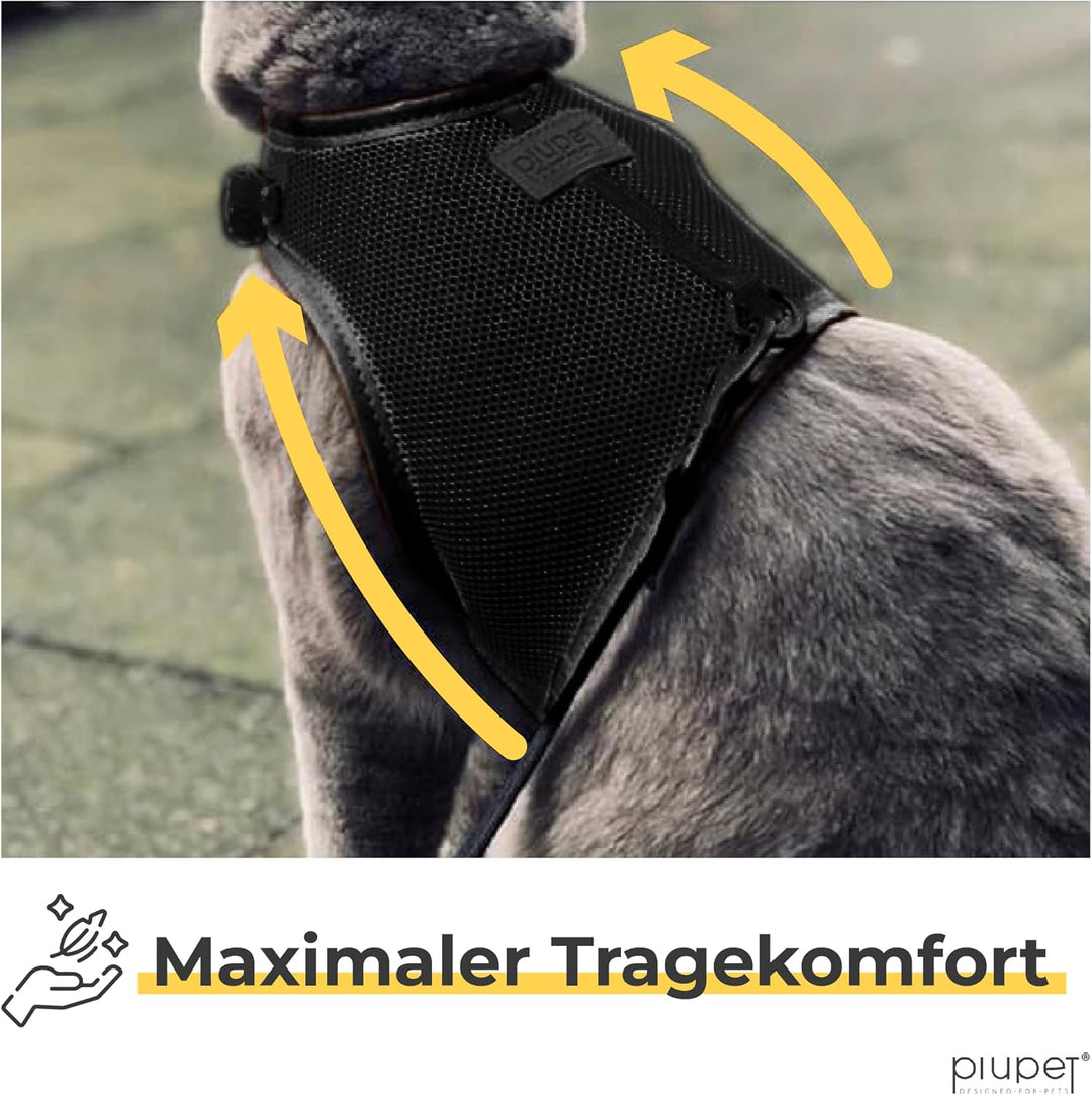 PiuPet® Katzengeschirr (S) Mit 1,2m Leine | Ausbruchsicher | Geschirr für Katzen | Katzenleine | Sch