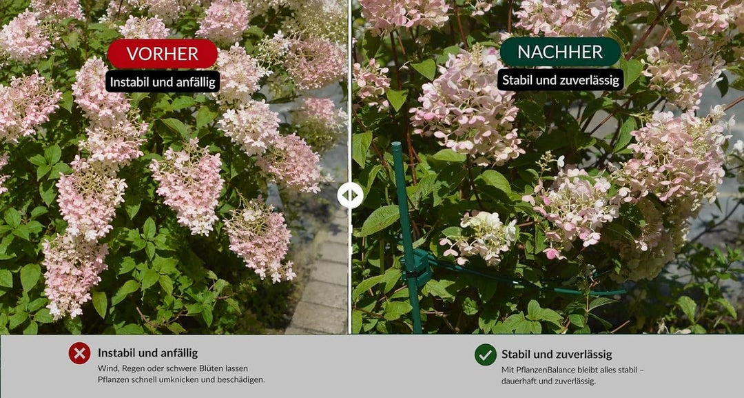 Pflanzenstütze für grosse Stauden wie Hortensien &amp; Pfingstrosen | 3X Staudenhalter XL mit Zusatzhalt