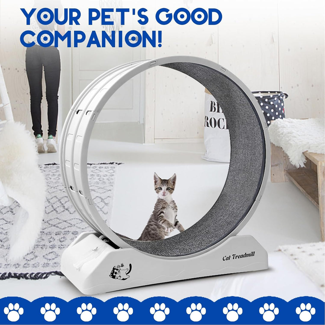 homegroove 31,5 Zoll Katzenräder für Indoor-Katzen, Plastik Katze Übung Laufband Rad mit Teppich Sta