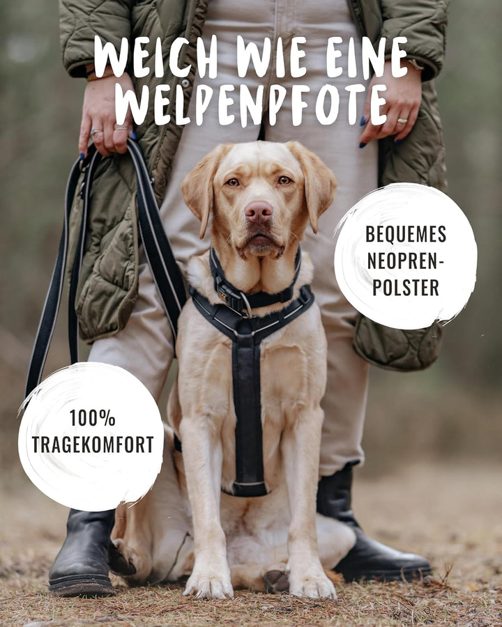 Rudelkönig Hundegeschirr Paola - Reflektierendes Brustgeschirr Hund gross mit Haltegriff - Geschirr