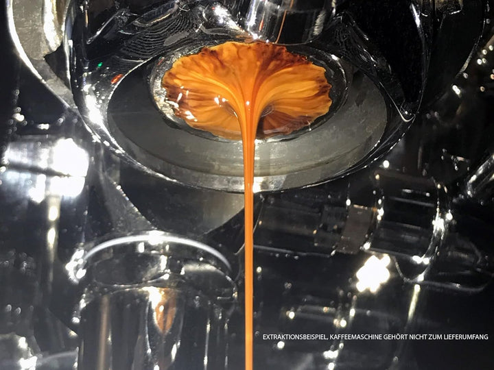 scarlet espresso | Tamper »Comodo« für Barista; mit ergonomischem Edelholzgriff nach Wahl und Präzis
