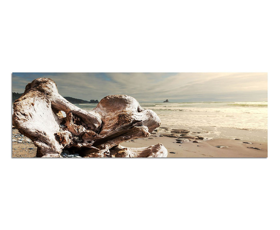 Paul Sinus Art Panoramabild auf Leinwand und Keilrahmen 150x50cm Sri Lanka Strand Gehölz Wolkenschle