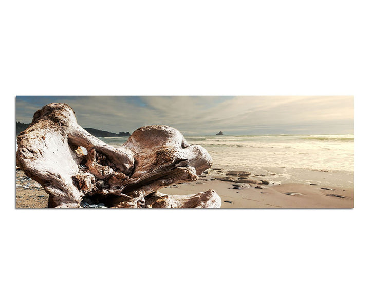 Paul Sinus Art Panoramabild auf Leinwand und Keilrahmen 150x50cm Sri Lanka Strand Gehölz Wolkenschle