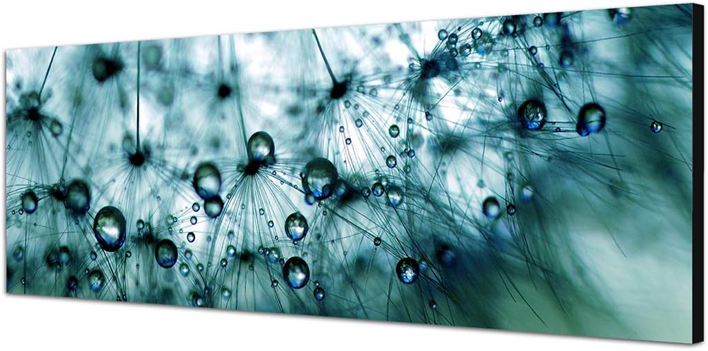 Paul Sinus Art Panoramabild auf Leinwand und Keilrahmen 150x50cm Pusteblume Löwenzahn Wassertropfen