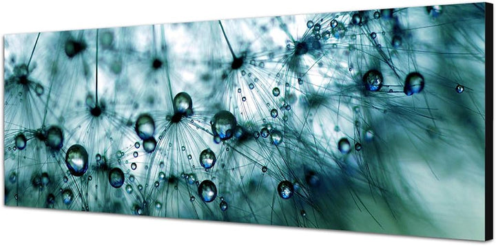 Paul Sinus Art Panoramabild auf Leinwand und Keilrahmen 150x50cm Pusteblume Löwenzahn Wassertropfen