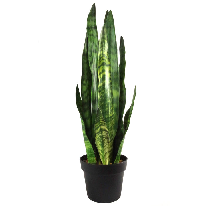 Leaf Kunstpflanze, Blätter, 70 cm, Kunststoff, Zeylanica Sansevieria Zeylanica Sansevieria 70 cm, Ze