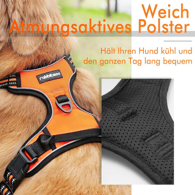 rabbitgoo Hundegeschirr Mittelgrosse Hunde Anti Zug Geschirr Hund mit Kontrolle No Pull Verstellbar