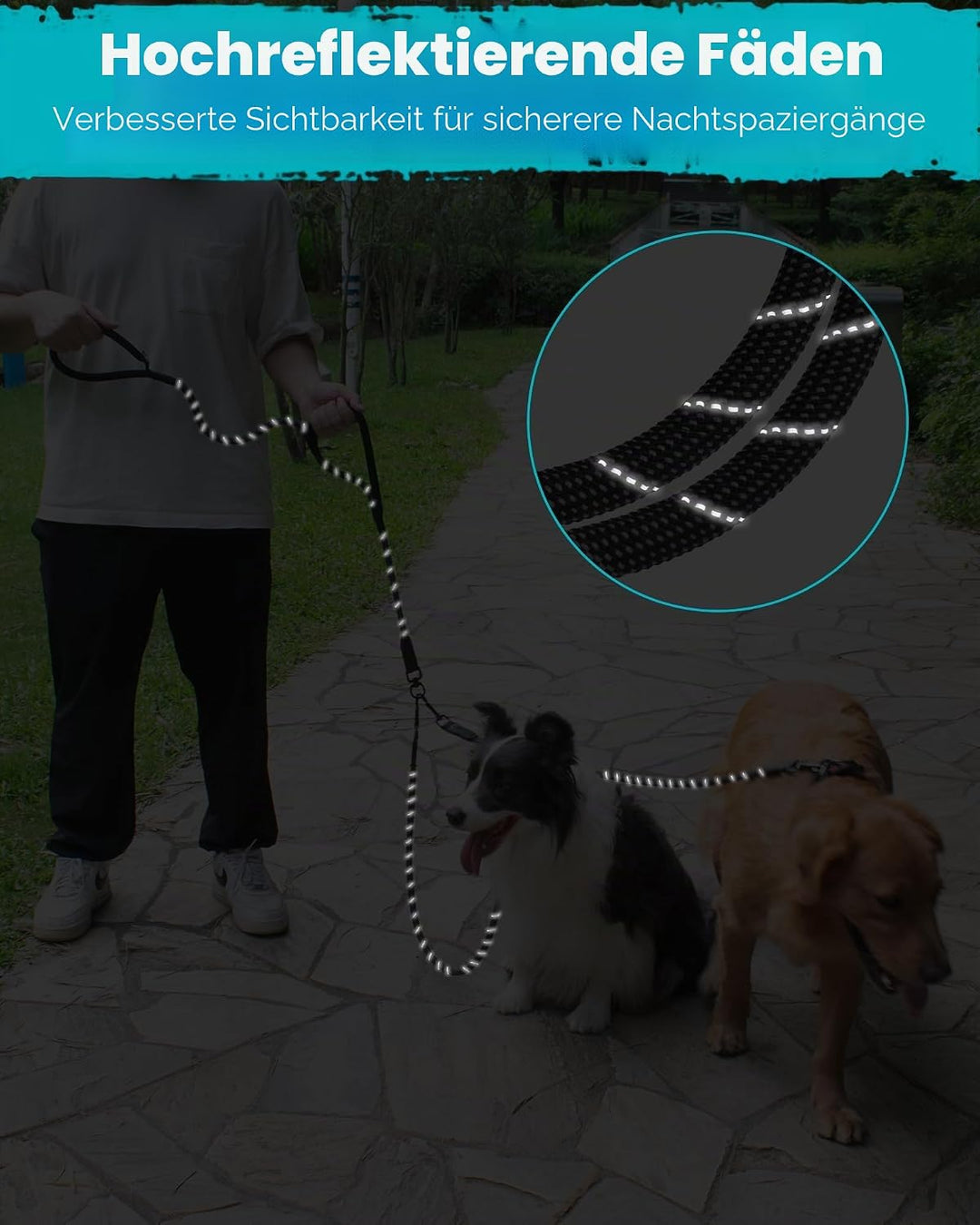 PetBonus Hundeleine Doppelleine für 2 Hunde, Keine Verwicklung Trainingsleine mit Zwei Gepolsterten