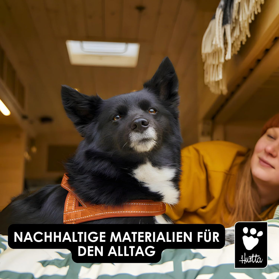 Hurtta Casual Hundegeschirr ECO (Blau, 50-60cm) 50-60cm Blau, 50-60cm Blau