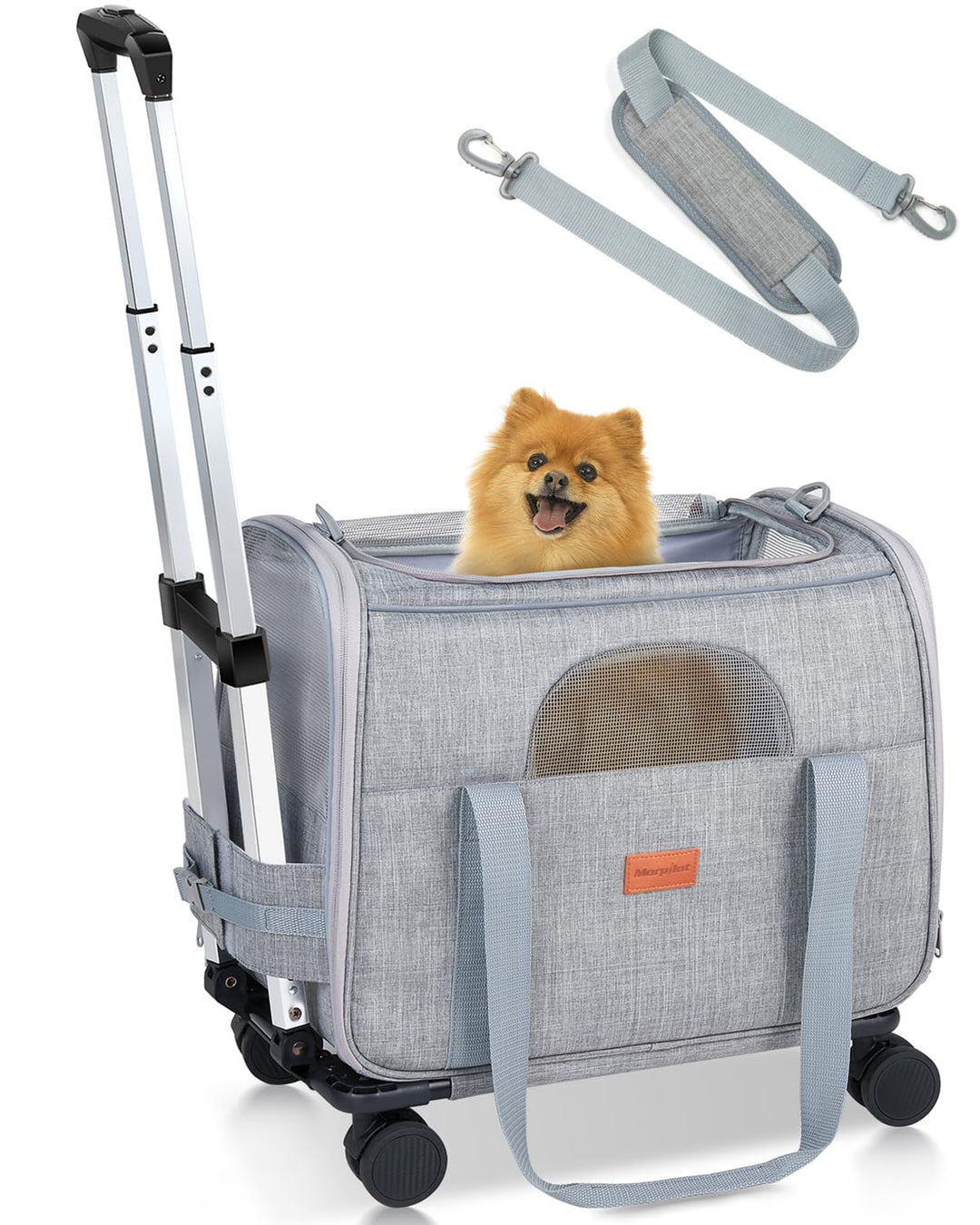 Morpilot Transporttasche für Katze mit Rollen, Faltbarer Katzentransportbox Hundetragetasche Transpo