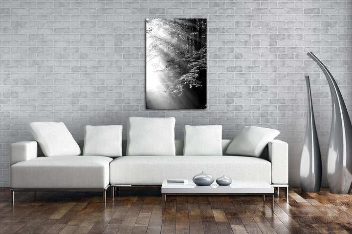 deyoli herbstlicher Wald mit Sonnenstrahlen Effekt: Schwarz/Weiss im Format: 80x60 als Leinwandbild,