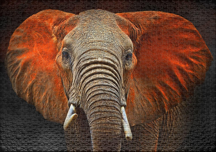 Ulmer Puzzleschmiede - Puzzle „Tsavo-Elefant“ - Stilvolles 1000 Teile Wildlife-Puzzle – Tierportrait