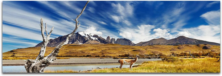 Augenblicke Wandbilder Leinwandbild als Panorama in 150x50cm Chile Patagonien Nationalpark Landschaf