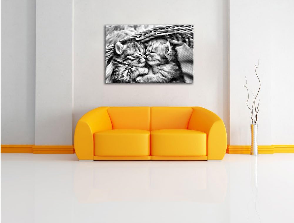 Monocrome, Baby Katze, Format: 100x70 auf Leinwand, XXL riesige Bilder fertig gerahmt mit Keilrahmen