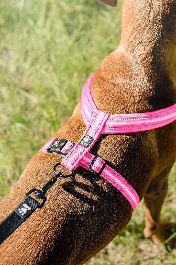Hurtta Gepolstertes Hundegeschirr, 99 cm, himbeerfarben 39 Inch himbeere, 39 Inch himbeere