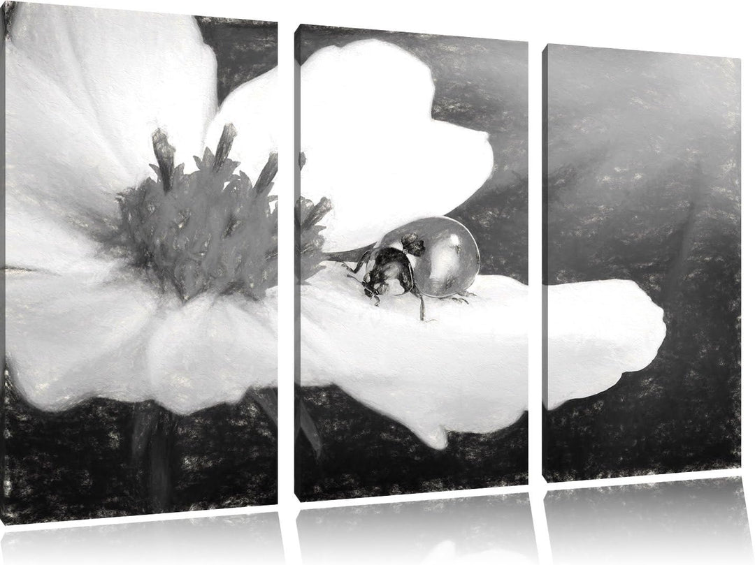 Pixxprint Marienkäfer auf Einer Blume / 3-Teilig/Gesamtmass 120cm Leinwandbild bespannt auf Holzrahm