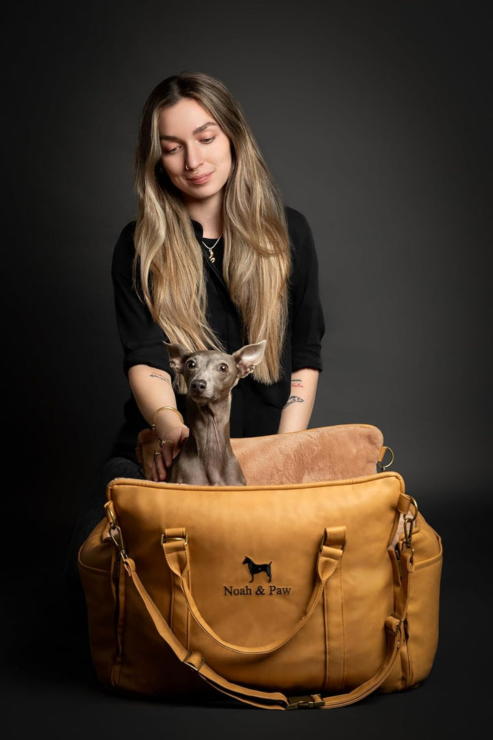 Noah & Paw Siège Auto für Hund, siège klein Hund und Tiere klein à mittel Grösse mit Clip harnais, S