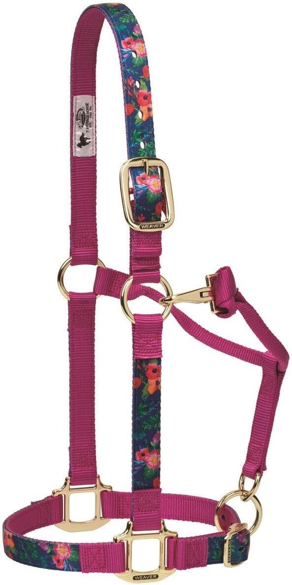 Weaver Leather Verstellbares, gemustertes Nylon-Pferdehalfter, cactus