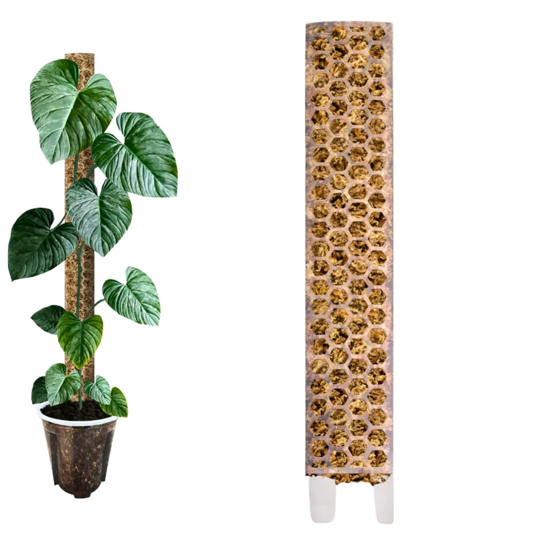 Nils der Pflanzenfreund® Moosstab [PlantScraper] 40 cm (L) / 10 Stück/Matt | Pflanzenstab | Moss Pol