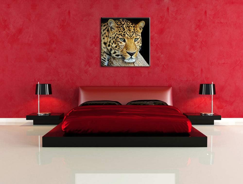 Pixxprint Ruhiger Leopard, Format: 70x70 auf Leinwand, XXL riesige Bilder fertig gerahmt mit Keilrah