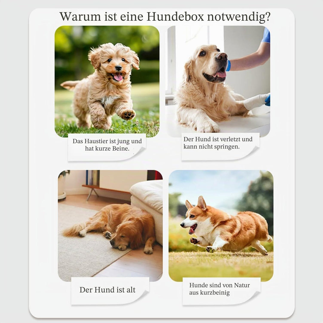 Hunderampe,Dog Ramp,Hundetreppe Für Kleine Hunde Und Grosse Hunde,Zusammenklappbar Rampe Hund,Mit Ru
