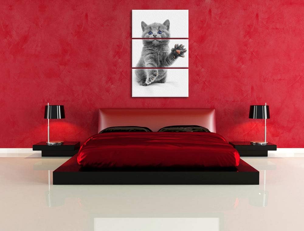 süsse kleine russisch Blau schwarz/weiss 3-Teiler Leinwandbild 120x80 Bild auf Leinwand, XXL riesige