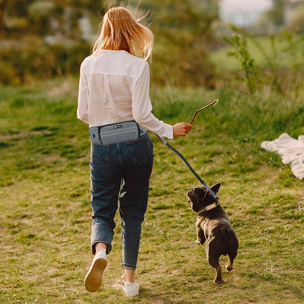 Leckerlitasche für Hunde, Bauchtasche für Hunde Zubehör-Leckerlibeutel mit Kotbeutelspender, reflekt