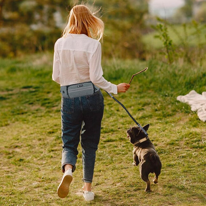 Leckerlitasche für Hunde, Bauchtasche für Hunde Zubehör-Leckerlibeutel mit Kotbeutelspender, reflekt