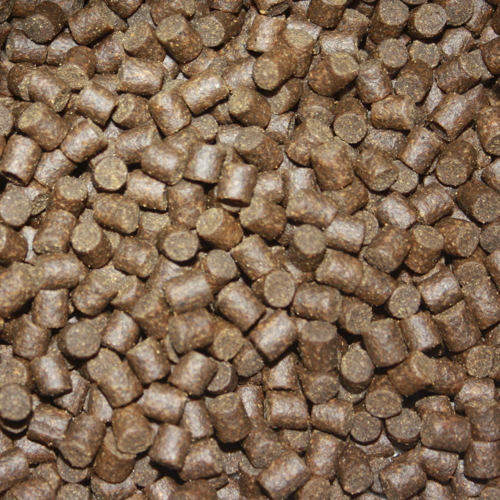 Koifutter Sinkfutter Koi Winterfutter sinkende Koi Pellets kräfteschonend Energiefutter für Koi mit
