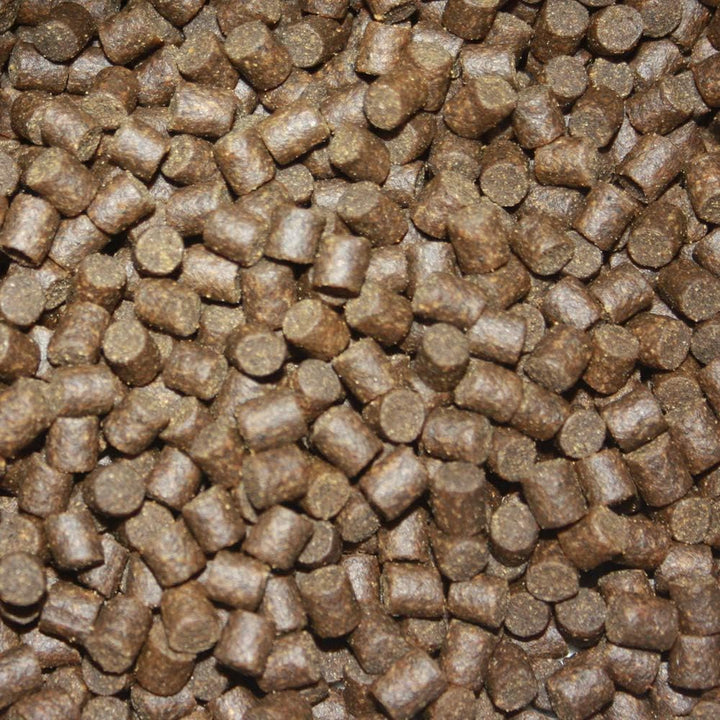 Koifutter Sinkfutter Koi Winterfutter sinkende Koi Pellets kräfteschonend Energiefutter für Koi mit