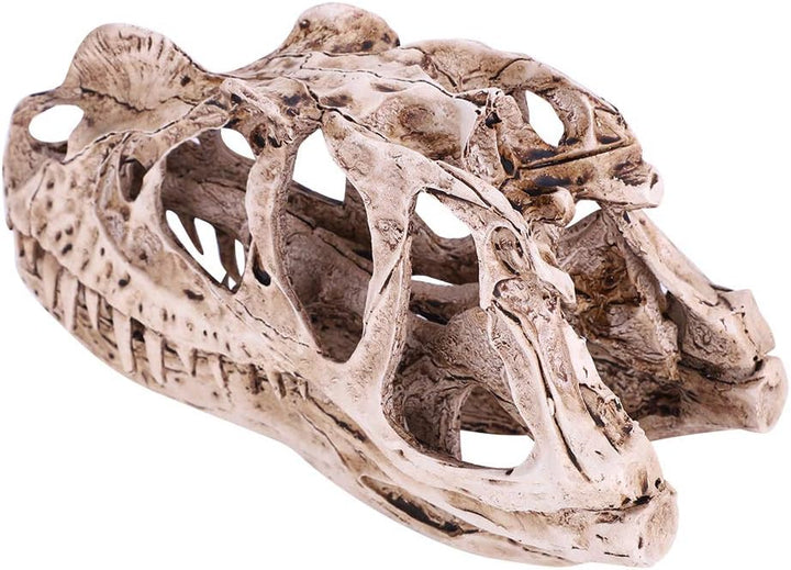VIFERR Dinosaurier-Schädel-Modell Harz simuliertes Dinosaurier-Skelett Home-Office-Dekor Handwerk Le