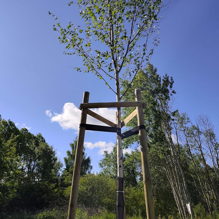 Baumstütze Komplettset Rankhilfe Baumpfahl ø 7cm Länge: 220 cm Pflanzenhalter 3 x Holzpfosten 3X Sch