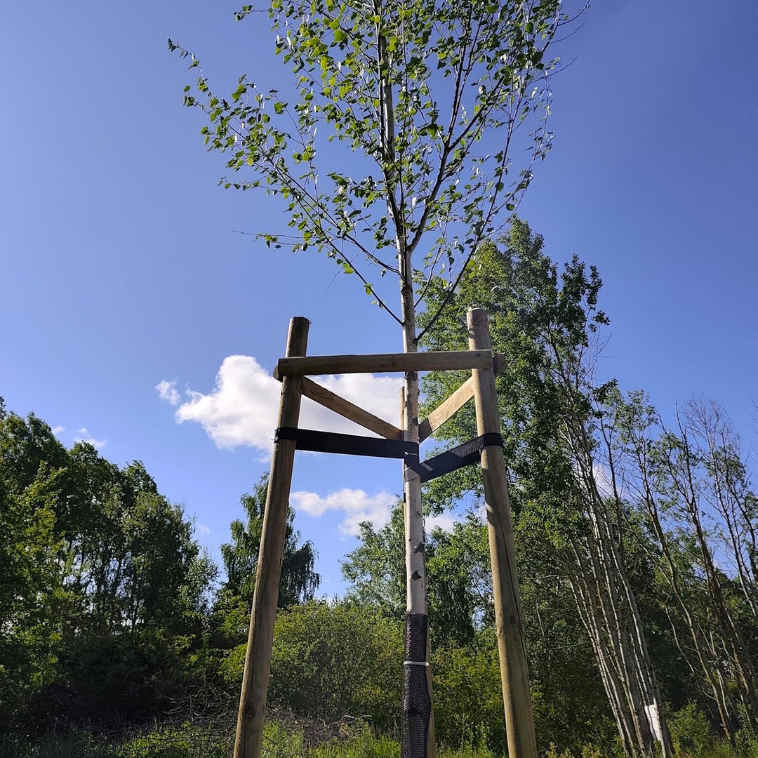 Baumstütze Komplettset Rankhilfe Baumpfahl ø 6cm Länge: 220 cm Pflanzenhalter 3 x Holzpfosten 3X Sch