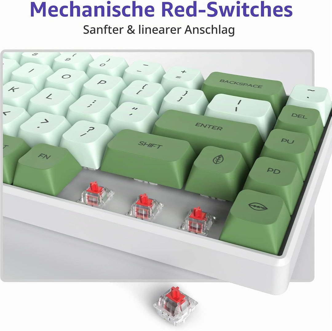SOLIDEE Tragbare 65% mechanische Gaming-Tastatur,68 Tasten kompakte RGB LED-Hintergrundbeleuchtung,k