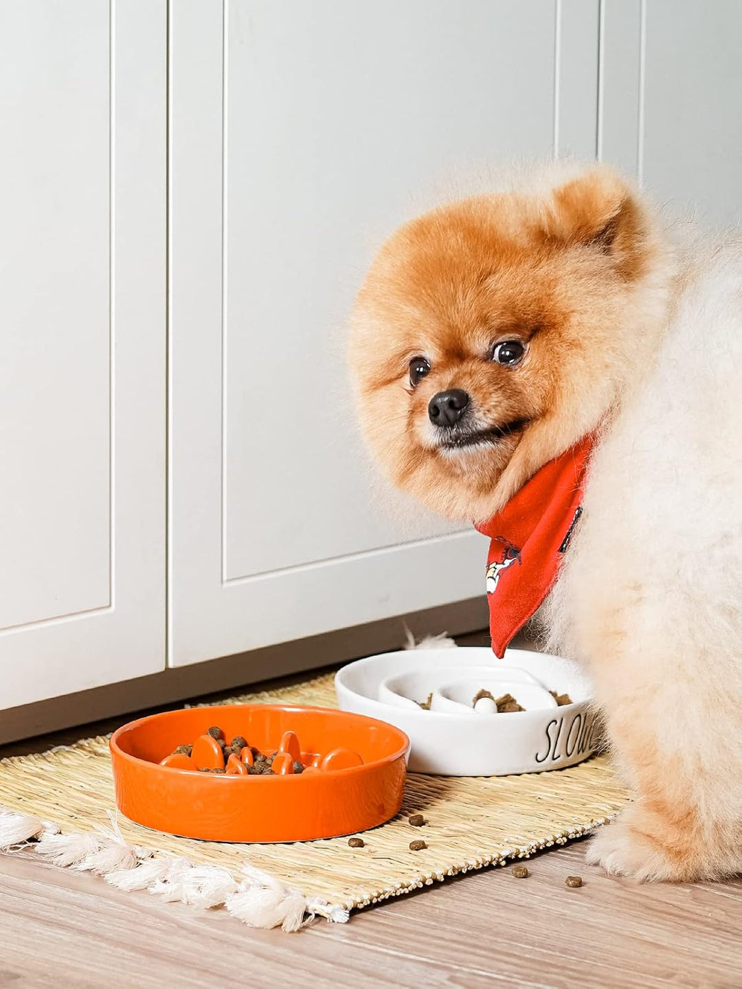 LE TAUCI Hundenapf aus Keramik, Antischlingnapf für Mittelgrosse und Kleine Hunde, Langsam Fressen u