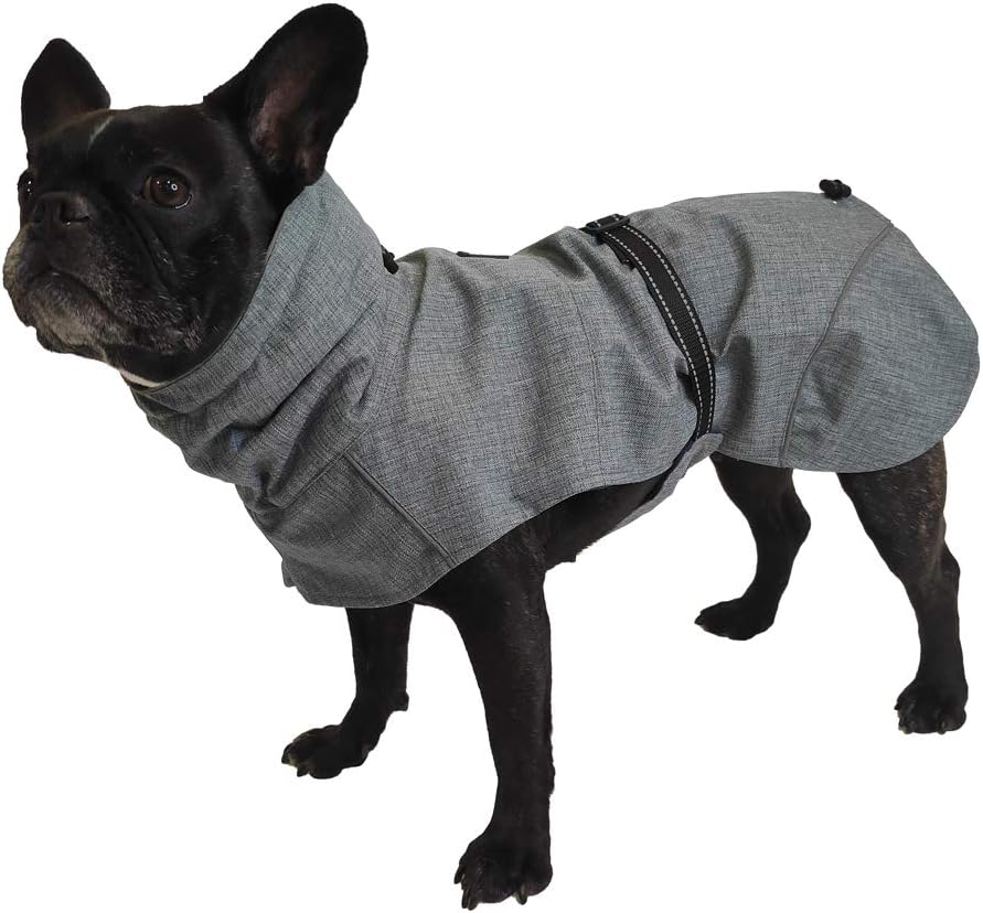 Croci Hiking Hundemantel, wasserdicht, für Hunde, gefüttert, Wintermantel, Thermofutter, Everest Gre