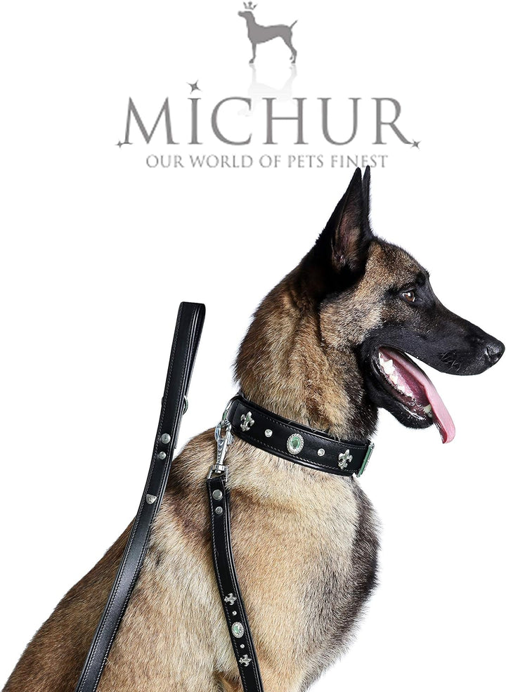 MICHUR Gala Leine, Hundeleine Leder, Lederleine Hund, PASSEND ZUM Halsband Gala, Schwarz, Leder, mit
