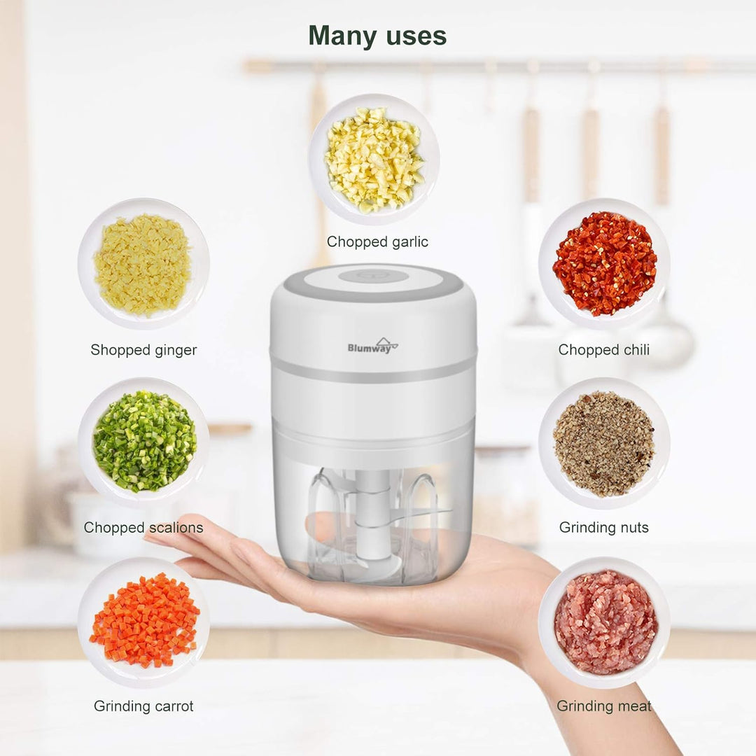 BlumWay Mini Zwiebelschneider, 250ML Mini Knoblauchhacker Gemüsezerkleinerer Elektrisch Zerkleinerer